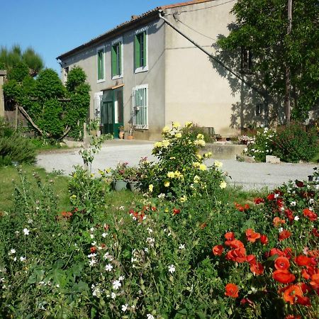 Virevent Vila Carcassonne Exterior foto