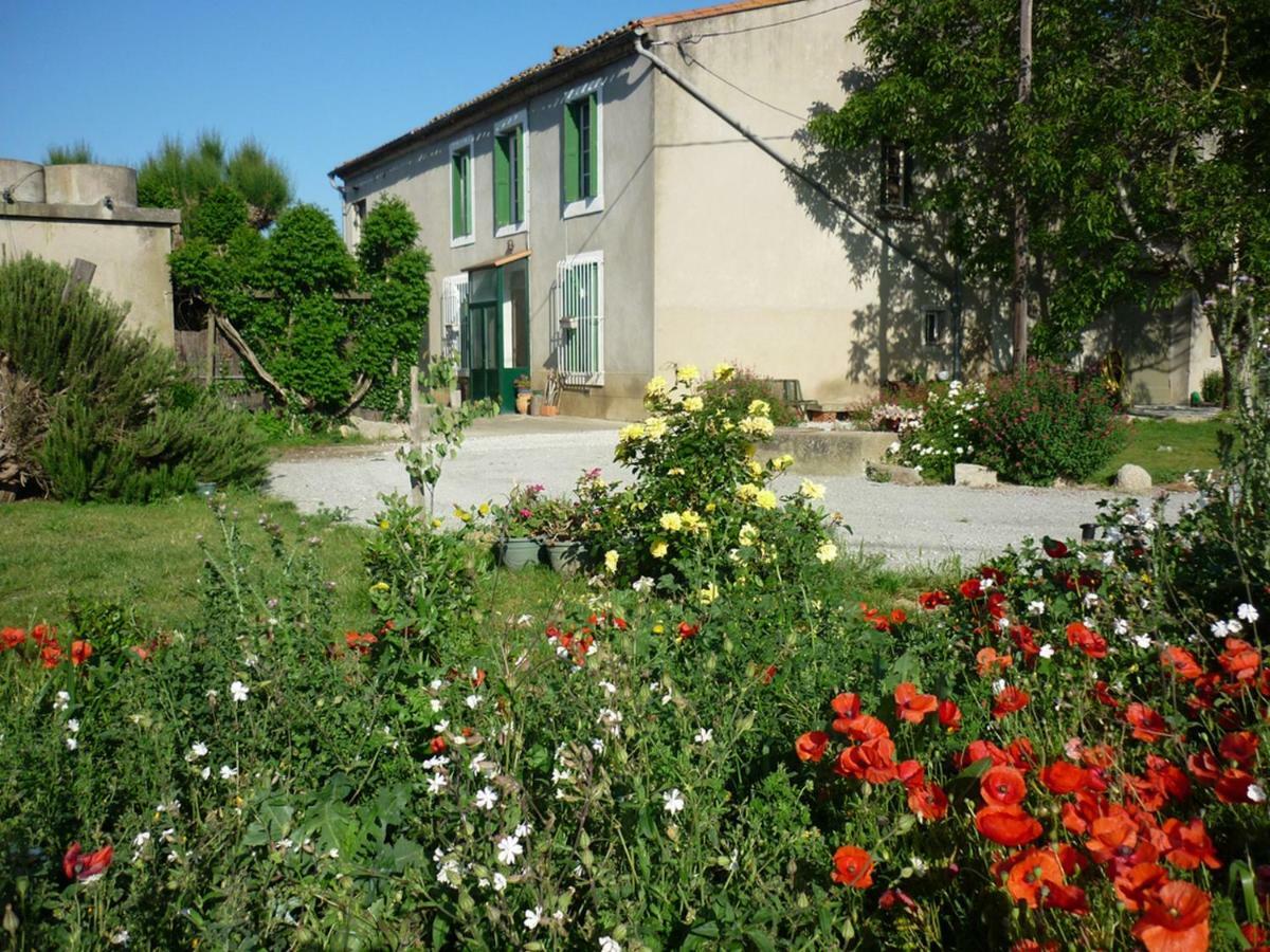Virevent Vila Carcassonne Exterior foto